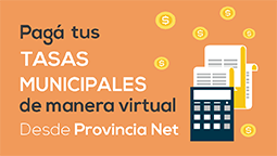 Pago Online