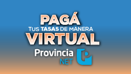 Pago Online